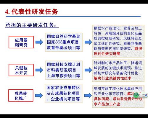 工程化驅動 技術開發人員項目聘任制的實踐與優化